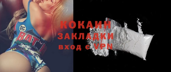 прущие грибы Арсеньев
