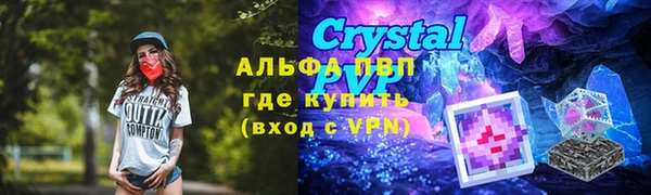 прущие грибы Арсеньев