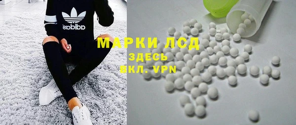 прущие грибы Арсеньев