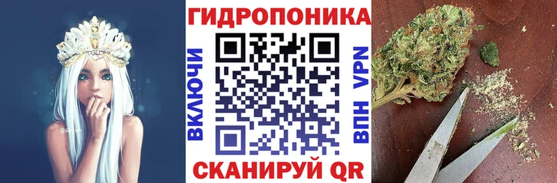 Бошки Шишки ГИДРОПОН  магазин продажи   Камызяк 
